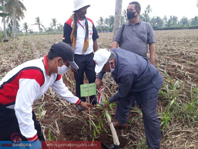 
					LSM Siger Sai Lampung Gandeng Masyarakat dan Pemkab Lampung Timur Lakukan Reboisasi di Kecamatan Sekampung Udik