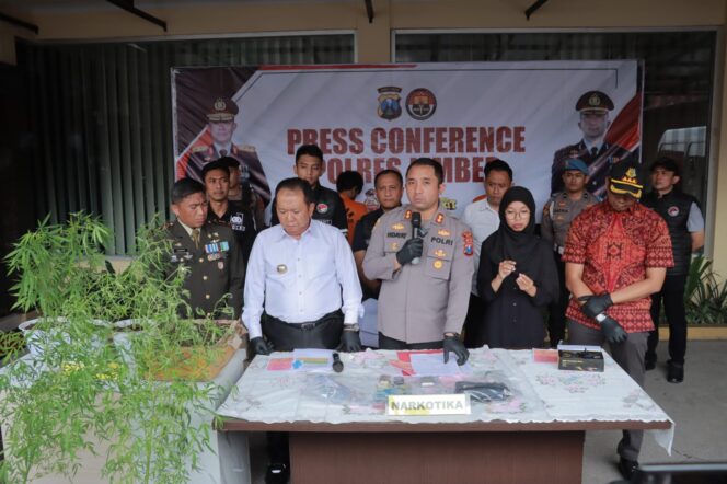
Bupati Jember berikan Apresiasi kepada Polres Jember berhasil ungkap penanaman ganja