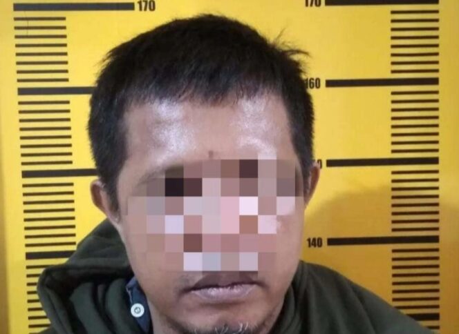 Karena Menipu, Salah Satu Oknum LSM di Jember ditangkap Polisi