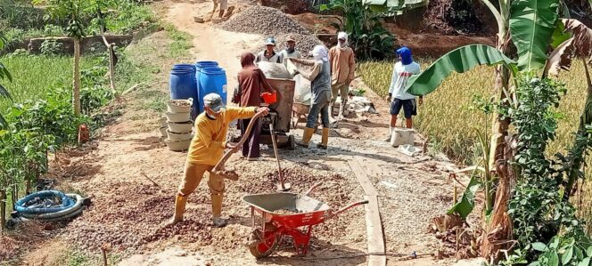 
Prioritas Utama Dana Desa Tahun 2024 Tahap I Pekon Bandung Baru Barat Dipergunakan Pembangunan Jalan Usaha Tani