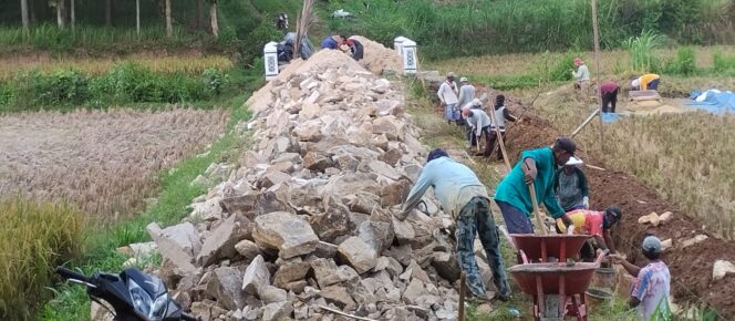 
Dana Desa 2024 Tahap I Pekon Purwodadi Fokus Pembangunan Fisik