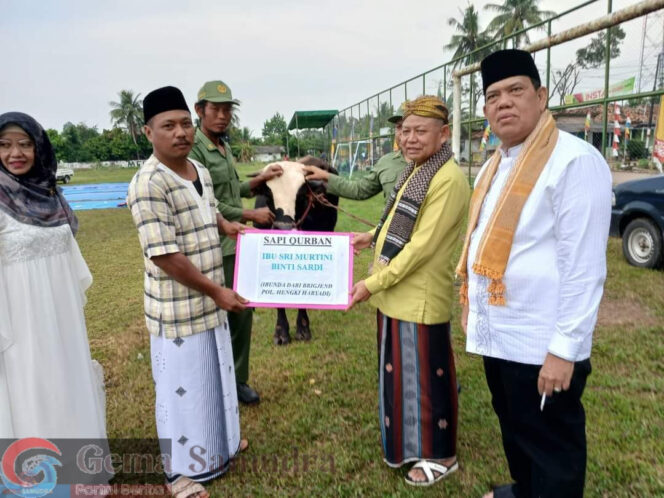 Bupati Dan Wabup Lamtim Menyerahkan Sapi Qurban Dari Ibu Sri ke Panitia Qurban