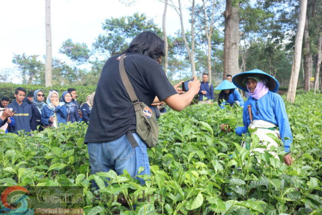 PTPN I Regional 5 Gelar Pelatihan Fotografi Untuk Memperkuat Peran Admint Sosial Media