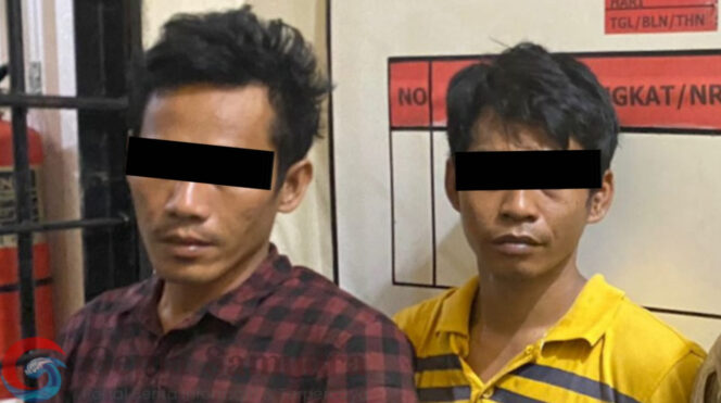 Satresnarkoba Polres Tanggamus Tangkap Dua Terduga Kurir Sabu di Pugung