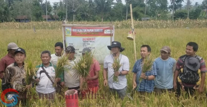
Penambahan Pupuk Sudah Sampai Ke Petani Membuat Petani senang dan gembira