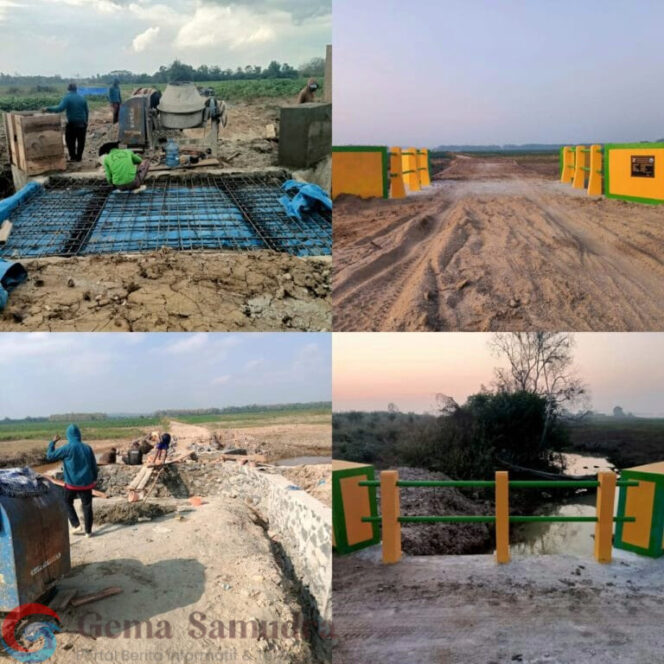 
DD Tiyuh Terang Mulya Tahun Anggaran 2024 Telah Terealisasi