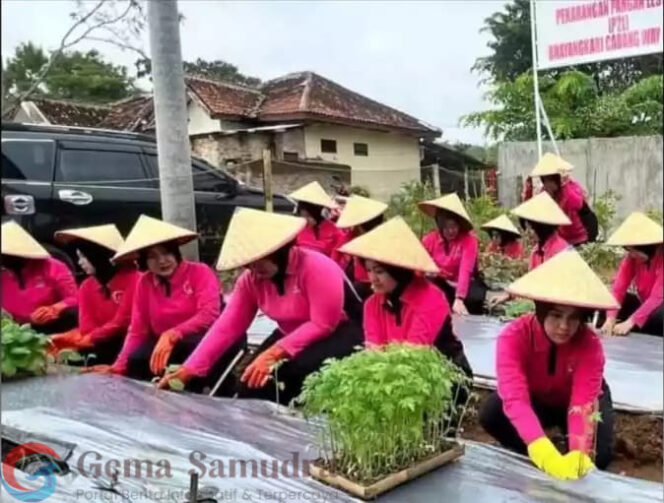 
Launching Penguatan Program P2L, Bhayangkari Cabang Way Kanan Manfaatkan Tanam Sayur Mayur