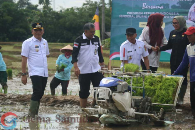 
Genjot panen, Wali Kota Metro dan Gubernur Lampung tanam serentak padi di Tejosari