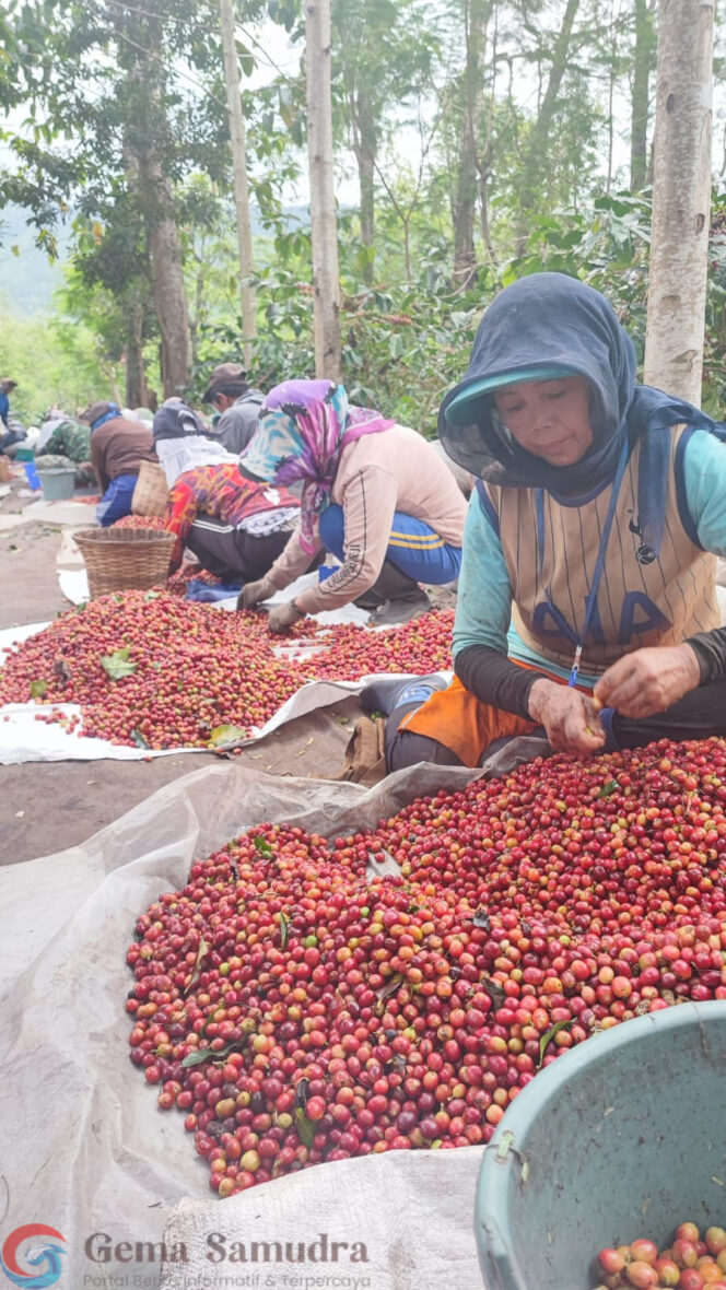 
PTPN I turut prihatin atas aksi anarkis oleh sejumlah warga di Desa Kaligedang, Kecamatan Ijen