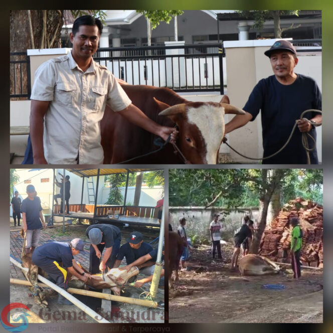 1.500 Paket Daging Kurban Disalurkan ke Warga Oleh PTPN I Regional 5 di Hari Raya Idul Adha 1446 H.