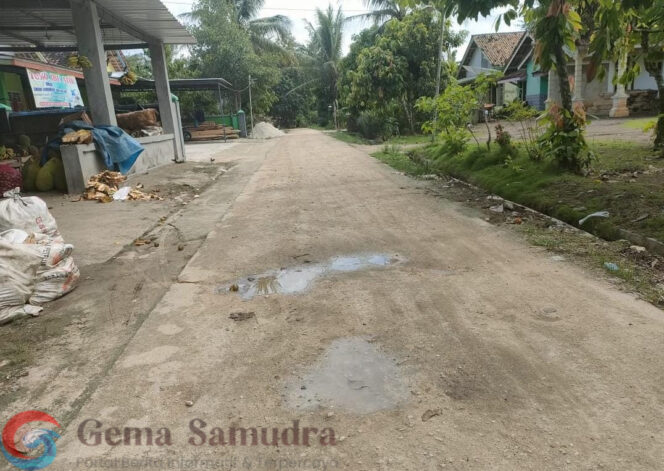 
Proyek Dana Desa Tahun 2024 Pekon Gumukmas Diduga Diatur Pihak Luar