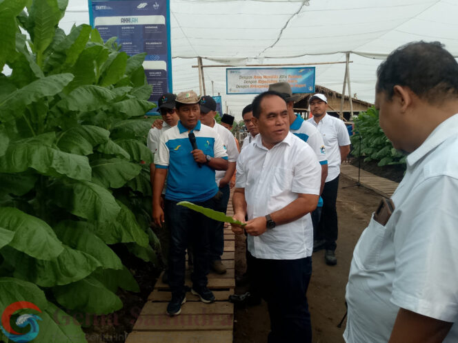 
PTPN I Regional 5 Giat Panen Perdana Sekaligus Pembagian Sembako Kepada Warga Sekitar 