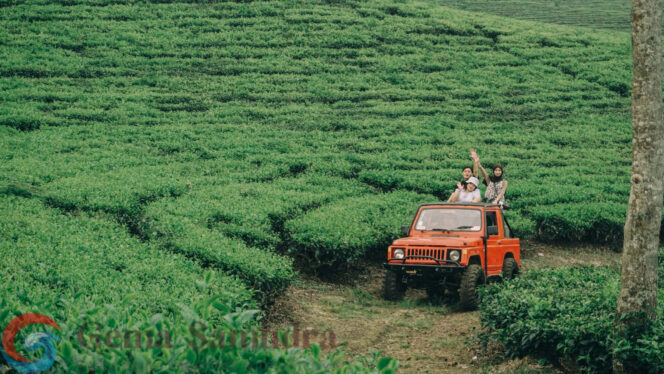 
One Day Trip  di Agro Wonosari Berjalan dengan sukses 