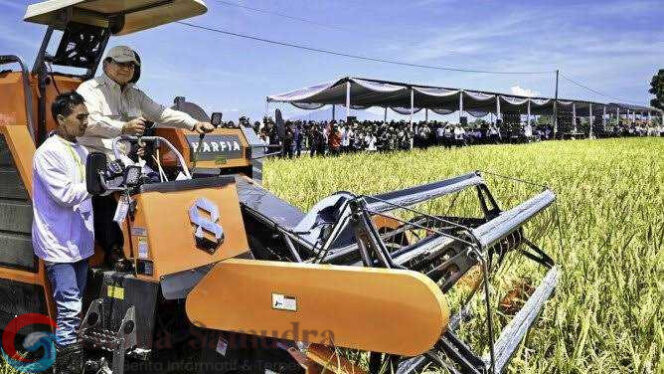 
Wali Kota Metro Hadiri Virtual Panen Raya Jagung 2025 Bersama Presiden Prabowo