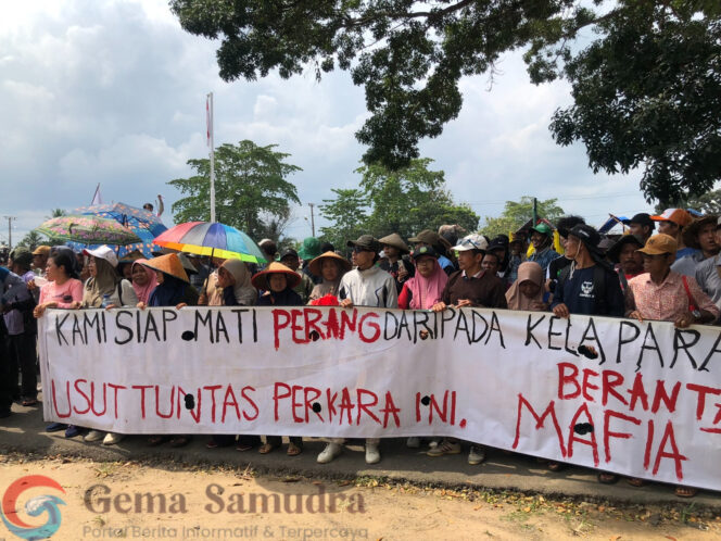 Bupati Lamtim dan BPN Dinilai Tak Berkomitmen Ungkap Kasus Dugaan Mafia Tanah