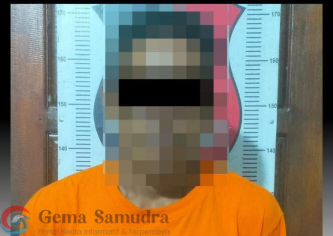 Curi 80 Tandan Kelapa Sawit di PT. AKG Sungsang, DPO Pelaku Curat Dibekuk Polisi Blambangan Umpu