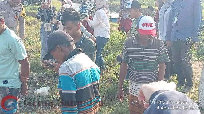 
Gerakan Pengendalian Hama Tikus di Sawah Rowogebang oleh Poktan Karya Tani  Jember, Gemasamudra.com – Dalam