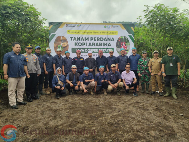 
PT Perkebunan Nusantara (PTPN) 1 Regional 5 melalui unit usahanya, Java Coffee Estate (JCE), melaksanakan kegiatan Tanam Perdana Kopi Arabika