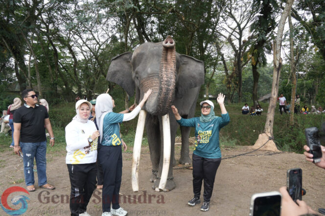 
Bupati Ela Atasi Konflik Gajah-Manusia Dan Presiden RI Dukung Pembangunan Pembatas Tanggul Taman Way Kambas