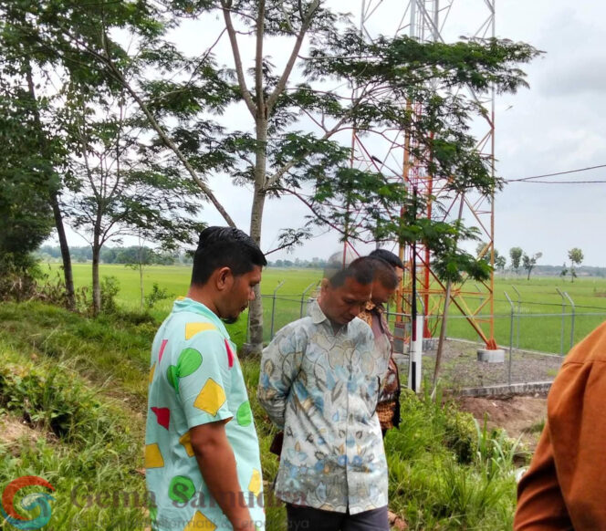 
Praktisi Hukum,Minta Pemda Tubaba Didesak Nonaktifkan Operasional Menara BTS Ilegal Milik TBG