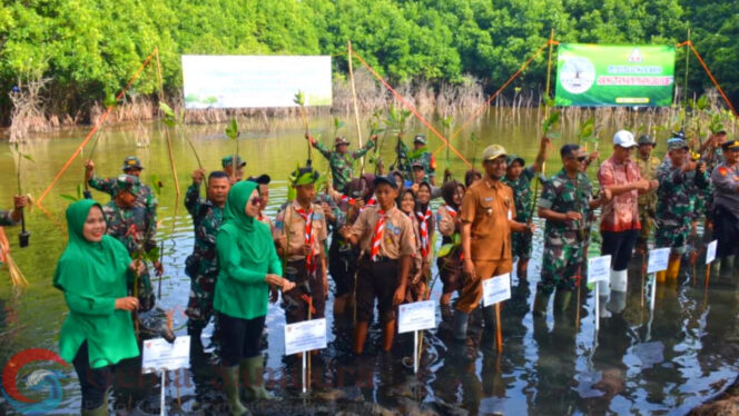 
Wujud Nyata Mitigasi Bencana dan Pelestarian Lingkungan : Kodim 0824/Jember Bersama Forkopimka Puger Tanam Mangrove Serentak.