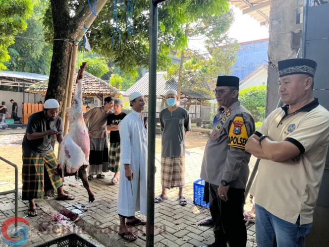 
Polsek Ajung Gelar Pemotongan Hewan Kurban Idul Adha 1447 H
