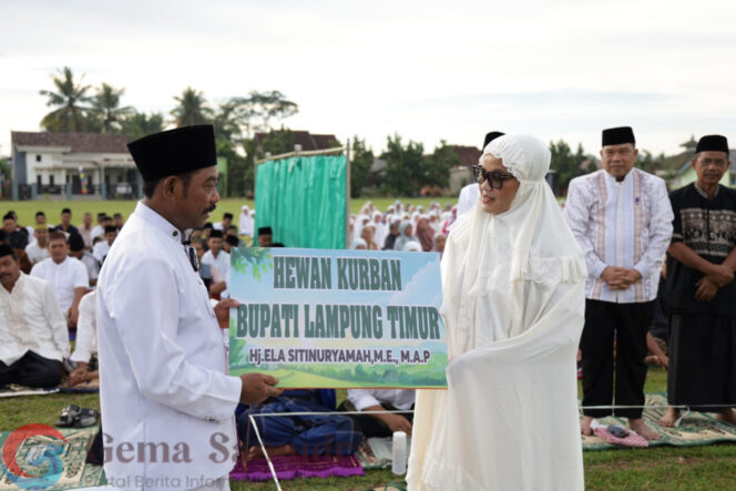 
Bupati Ela Menyerahkan Satu Ekor Sapi Hewan Kurban Untuk Masyarakat Sribhawono