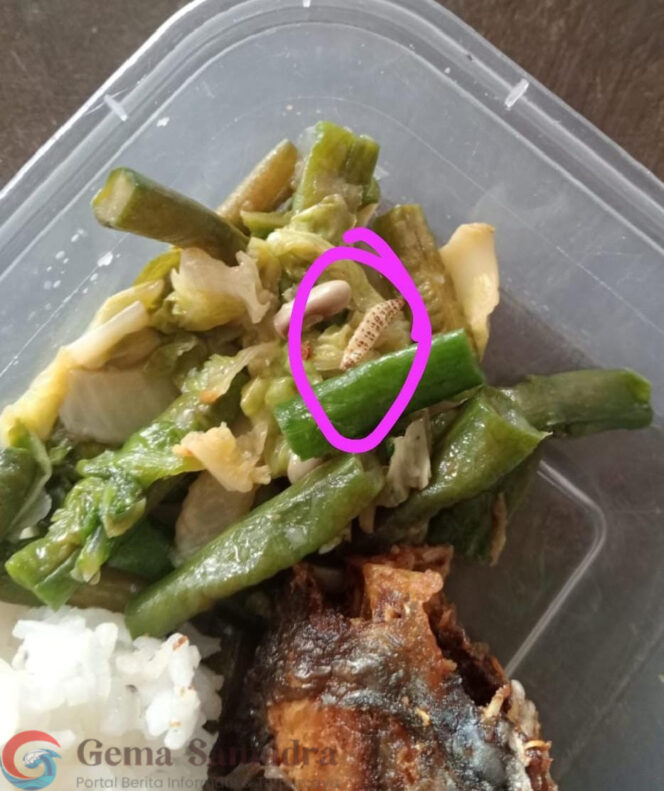 
Klaim Mitra Dapur, Suwardi:Menu MBG Berulat Hanya Satu Porsi, Bukan Kelalaian Sistemik