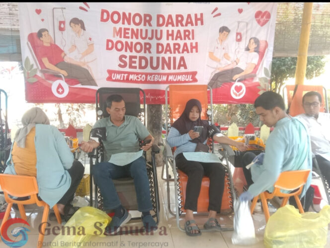 
Semarakkan HUT Kemerdekaan RI, Kebun Mumbul dan UDD PMI Gelar Aksi Donor Darah