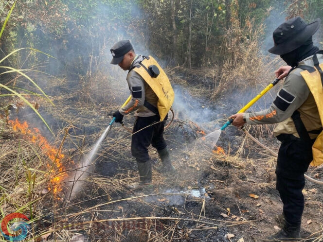 
Padamkan Api Karhutla, Polres Lamtim Dan Tim Gabungan Masuk Area Inti Perbatasan TNWK