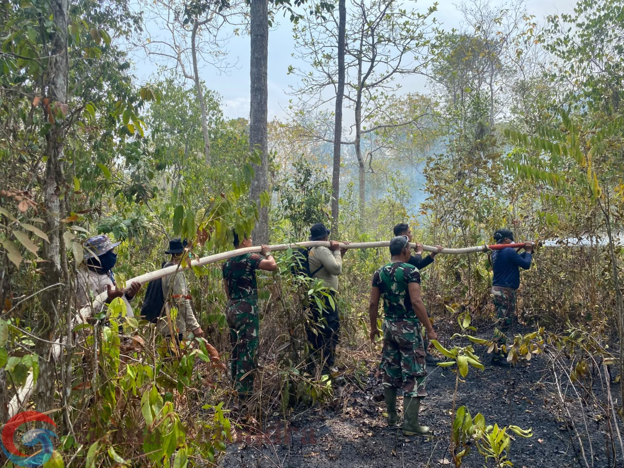 Foto, Tim Gabungan